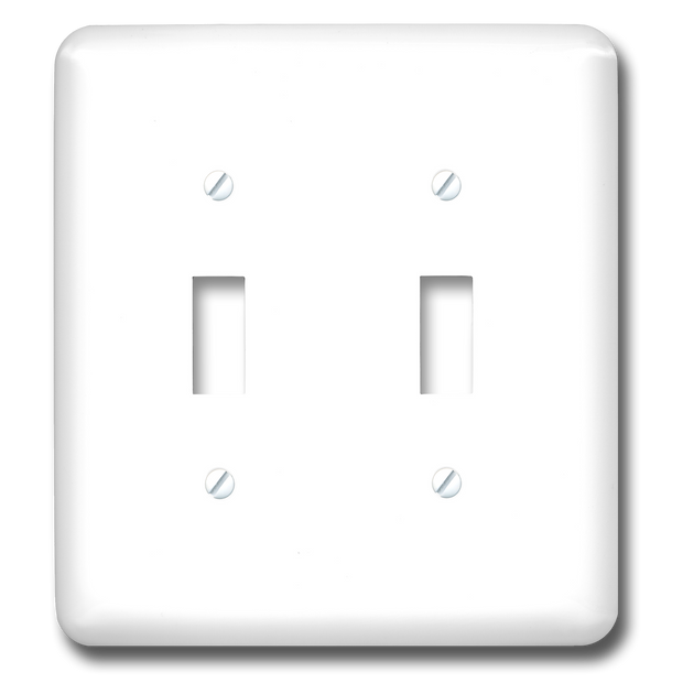 Double Toggle Switch