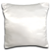 Pillow Case